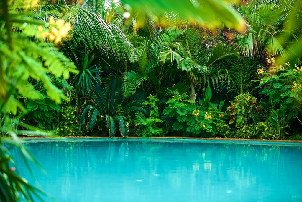 Lara Hotel อากีราซ ภายนอก รูปภาพ